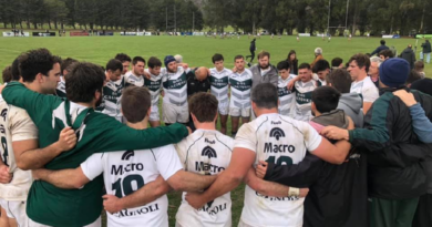 Los Cardos